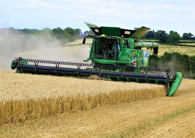 Cultivation and Harvesting